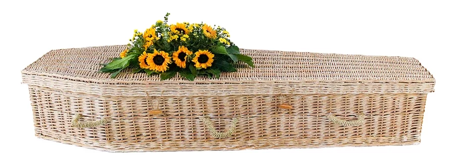 SIERRA SERIES 6 Point European Traditional Casket Whitewash